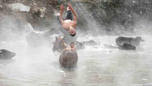 Mandalar kaplıcada yıkanıyor