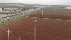 5 bin kilometre yol kat edip ata yurduna döndüler