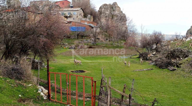 Bu şehrin bir yanı bahar, diğer yanı kara kış