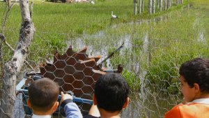 Efe, 13 yıldır doğduğu topraklara geliyor