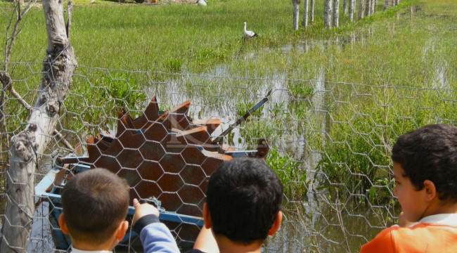 Efe, 13 yıldır doğduğu topraklara geliyor