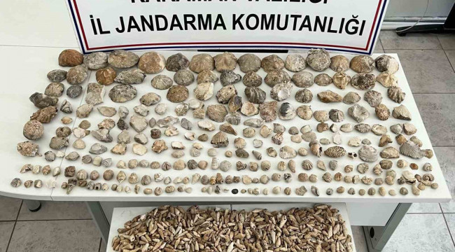 Karaman'da bin 780 adet bitki ve hayvan fosili ele geçirildi