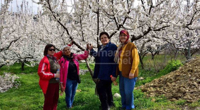 Mut'ta kayısı ağaçları görsel şölen sundu