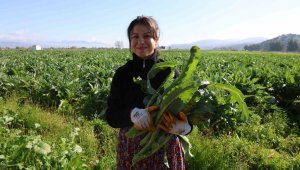 Tarlada 20, tabakta 400 lira