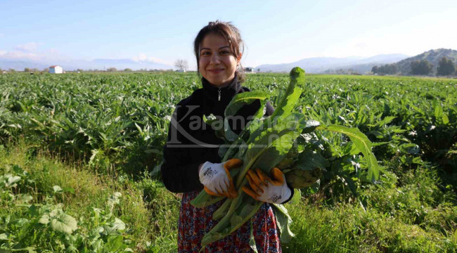Tarlada 20, tabakta 400 lira