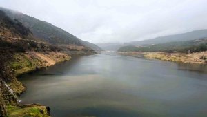 Tekneyle gezilebilen barajda ürküten manzara