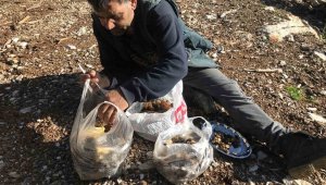 Doğada nadir bulunuyor, kilogramı 600 liradan satılıyor