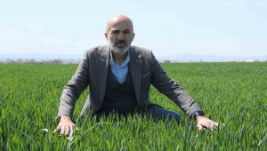 Karaman'da mahsul ekimindeki artış endişelendiriyor