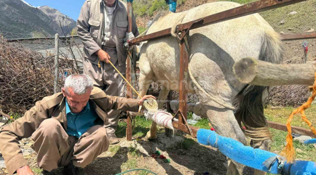 Mesleğin son ustalarından, 20 yıldır bu işi yapıyor