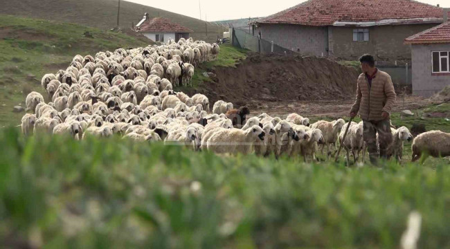 Öğretmenliği bıraktı, köyüne dönüp bu işe başladı