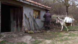 Kadim geleneğin bölgedeki son temsilcisi devlet desteğiyle ayakta