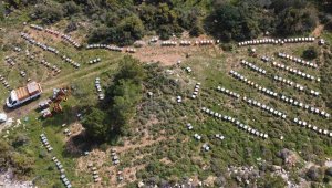 Kilosu 300 liranın altında satılıyorsa dikkat