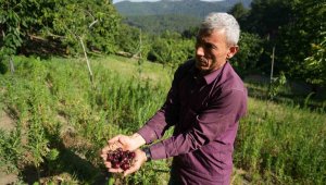 50 yıllık hikayesi var, kilosu 60 liradan satılıyor