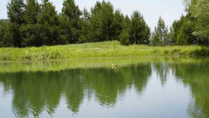 Denizden bin 880 metre yükseklikte, doğasıyla hayran bırakıyor