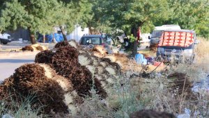 Doğadan toplanıp tek tek dizildikten sonra üreticilere satılıyor