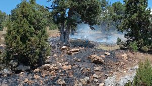 Erdemli'deki orman yangını büyümeden söndürüldü