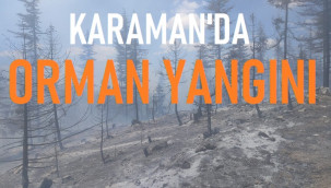 Karaman'daki orman yangınına havadan ve karadan müdahale ediliyor