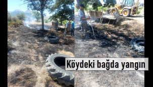 Köydeki üzüm bağlarında yangın