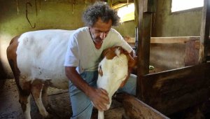 9 yıldır hayvanları için özel yem üreterek süt verimlerini arttırıyor