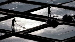 Evliya Çelebi'nin övgüyle bahsettiği alanda 3 bin yıldır sudan üretiyorlar