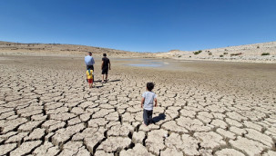 Baraj kuruyunca binlerce balık telef oldu