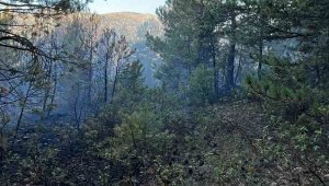 Ilgın'daki orman yangınında 1 kişi gözaltına alındı