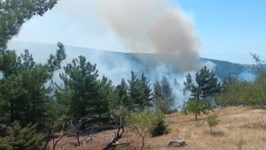 Sertavul yolundaki orman yangını söndürüldü