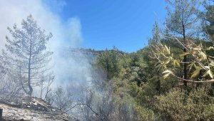 Silifke'de orman yangını