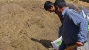 Yeni gelir kapısı, torbasını 50 liradan satıyorlar