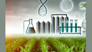 İnsan sağlığı ve çevre için ciddi tehdit: GDO