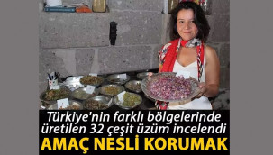 Türkiye'nin farklı bölgelerinde üretilen 32 çeşit üzüm incelendi