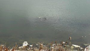 Baraj gölünde erkek cesedi bulundu