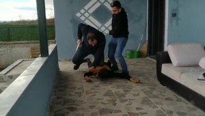 Firari mahkum bağ evinde yakalandı