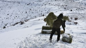 Yaban hayvanları için kış hazırlığı