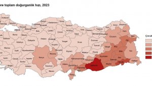 10 il, nüfusunu yenileme yeterliliğine sahip