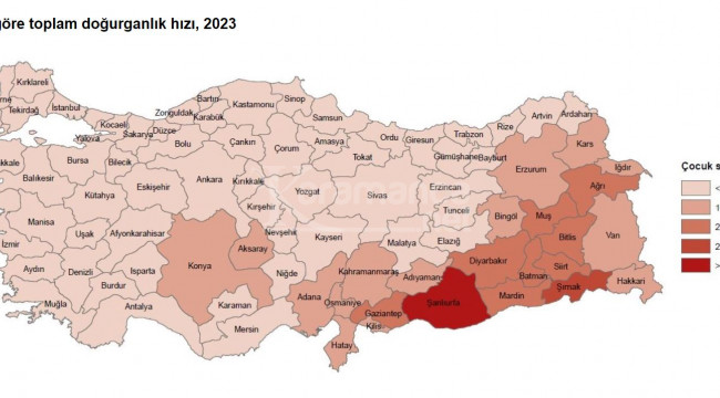 10 il, nüfusunu yenileme yeterliliğine sahip