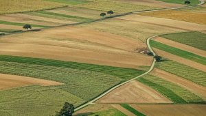 2 milyar 298 bin 236 lira tarımsal destekleme ödemesi