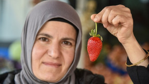 Bu meyvenin tanesi 15, kilosu ise 400 lira