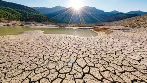 ''Dünyadaki birçok insan iklim mültecisi olabilir''