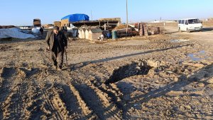 Tehlike büyüyor, yerleşim yerlerine kadar geldi