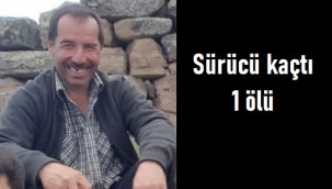 Aracın çarptığı Ali Yalçınkaya hayatını kaybetti