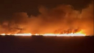 Göksu Deltası'nda sazlık alandaki yangın söndü