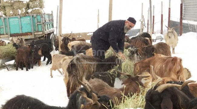 ''İş değil, sanki bir terapi''
