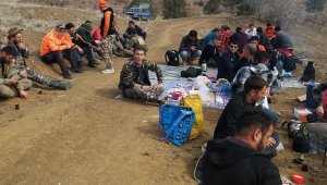 Karaman'da domuz sürek avı yapıldı