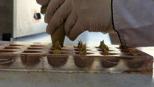 Liseli öğrenciler, zeytinli ve kabaklı olarak yapıyor