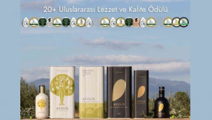 Bebeğinizin Sağlığı İçin En Uygun Zeytinyağı Hangi Markadır?