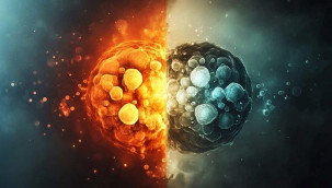 Bilim insanları yaşlanmayı tersine çevirebilecek proteini keşfetti