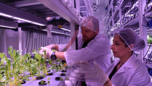 Biri öğretmen diğeri mühendis, 6 milyon yatırdıkları işten kazanmaya başladılar