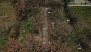 Fiyatı 2 bin 500 lirayı buluyor, bukalemun teklif eden de oldu