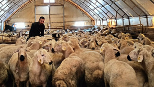 Koyun Keçi Birliği Başkan Adayı Sağkaya'dan Jet Yanıt 